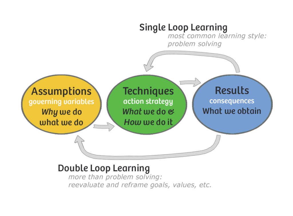 Double-Loop Learning.