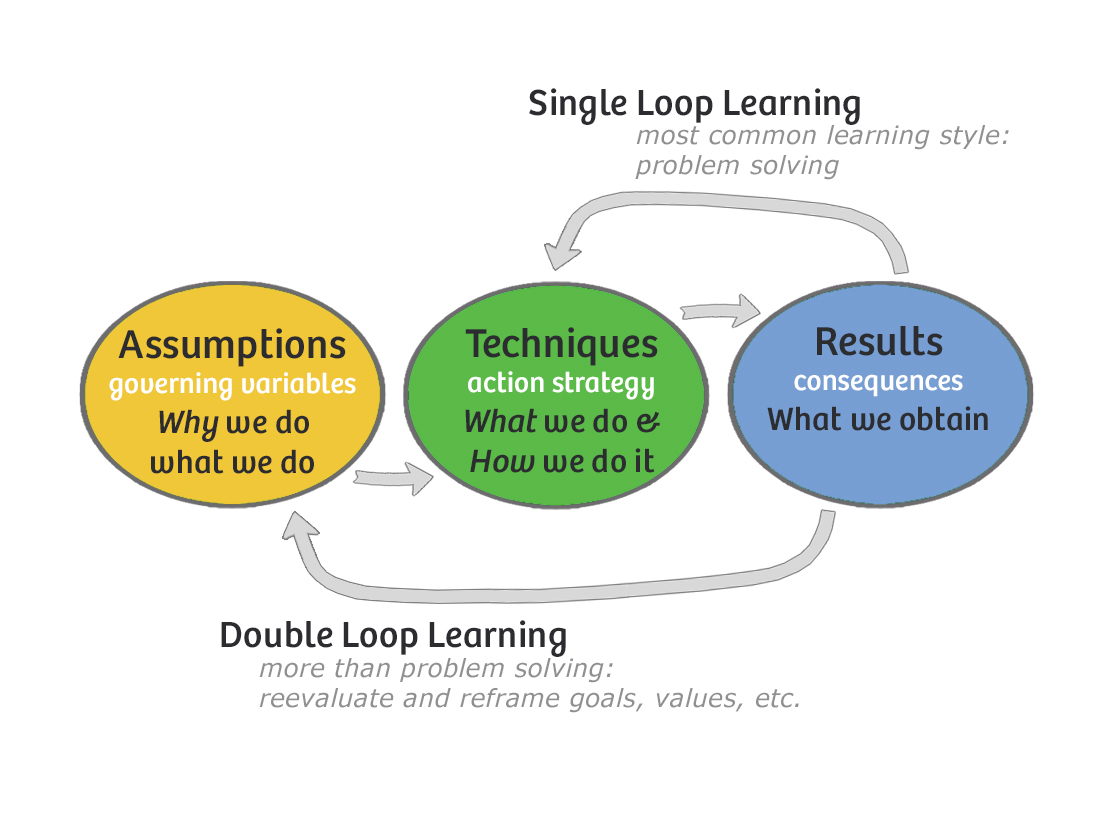 Double-loop Learning: How Learning Leads to Culture Change